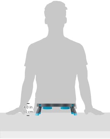 Dexas Popware for Pets Double Elevated Pet Feeder, Small, Gray/Blue
