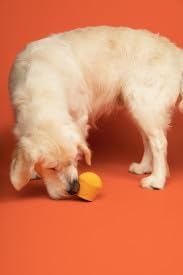 BULLYMAKE Toss N Treat Yellow Popcorn - Popcorn Scent