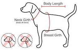 Authentic Puppia Vivien Harness, Purple, Medium