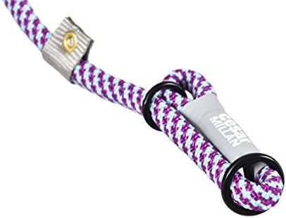 Cesar Millan Slip Lead Leash | Dog Leash | in Training Leash | (Regular, Aqua/Purple)