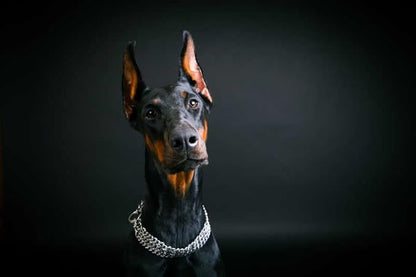 Dog Chain Collar, Heavy Duty Silver Triple Row Martingale Chain Dog Collars, Chew Proof Metal Cuban Link Dog Collar Adjustable for Small Medium Large Breed Dogs (3 Row, S)