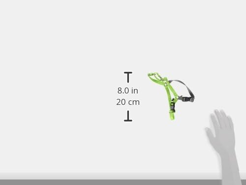 PetSafe Easy Walk Harness for Dogs - Pull-Free Walks - Patented Martingale Loop Design - Front Chest Leash Attachment - Comfort Straps - Breathable Harness Design - Small, Apple Green/Gray