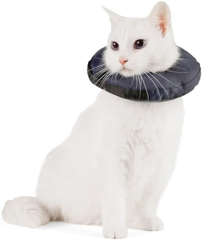 Well & Good by Petco Soft-Filled Recovery Kitten Collar 3X-Small