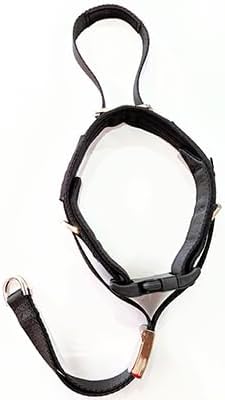 PetsProMax No-Pull Dog Headcollar for Large Dogs (Agressive/Reactive Dogs; Instant Stop Pulling; Gentle Training Collar for Dogs; Comfortable, Safe, and Effective Walking/Training Solution (Black, L)