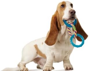 Petstages Dental Links Dog Chew Toy – Puppies & Adults, Strong Chewers, Multiple Textures & Rope, 8.5" x 4" x 1"