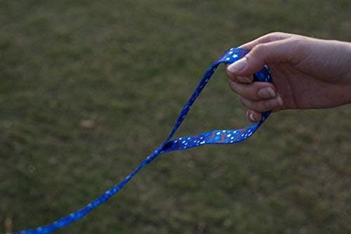 EcoBark Dog Leash - Soft & Reflective Comfort Leashes with Padded Handle - Safe, Strong, & Durable for Small, Medium or Large Dogs (Nautical)