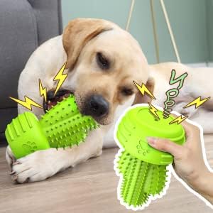 Pamlulu Dog Chew Toys & Teeth Cleaning Brush - Dental for Small, Medium & Large Dogs, Rubber Squeaky Toys for Aggressive Chewers, Cactus Tough Toys
