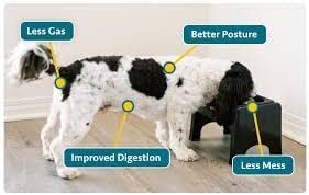 Fluff Trough Elevated Dog Bowl for Food Minimize Neck Strain | 5inch Tall Cat & Dog Feeding Stand | Vet Approved Non-Toxic Silicone Feeder Bowl | Raised Bowl for Medium & Small Dog/Pet with Flat Face