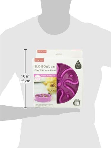 Outward Hound Fun Feeder Slo Bowl – Medium 2‑Cup Capacity,Slow Feeding,Small to Medium Dogs & Cats,Non-Slip,Purple,Flower Pattern,(Pack of 12)