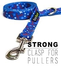 EcoBark Dog Leash - Soft & Reflective Comfort Leashes with Padded Handle - Safe, Strong, & Durable for Small, Medium or Large Dogs (Nautical)