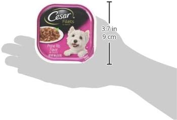 Cesar Filets in Gravy, Adult Wet Dog Food, Prime Rib Flavor, Wet Food for Dogs, 3.5 oz Trays, 24 Count