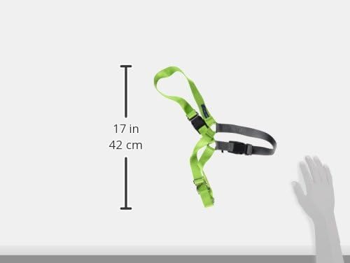 PetSafe Easy Walk Harness for Dogs - Pull-Free Walks - Patented Martingale Loop Design - Front Chest Leash Attachment - Comfort Straps - Breathable Harness Design - Large, Apple Green/Gray