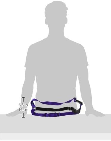 PetSafe Easy Walk Harness for Dogs - Pull-Free Walks - Patented Martingale Loop Design - Front Chest Leash Attachment - Comfort Straps - Breathable Harness Design - Large, Deep Purple/Black
