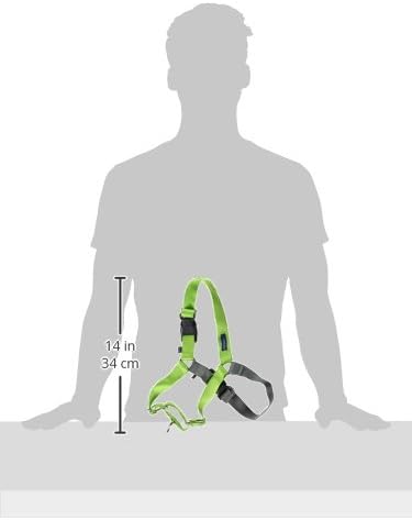 PetSafe Easy Walk Harness for Dogs - Pull-Free Walks - Patented Martingale Loop Design - Front Chest Leash Attachment - Comfort Straps - Breathable Harness Design - Medium/Large, Apple Green/Gray