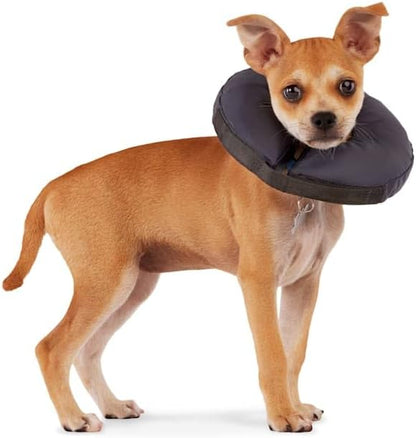 Well & Good by Petco Soft-Filled Recovery Dog Collar XX-Small/X-Small