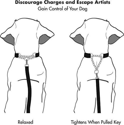 Friends Forever Martingale Dog Collars for Large Dogs - Reflective No Pull Dog Collar for Training Large/Medium Breed Dogs, Large