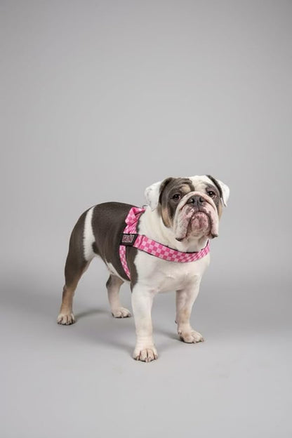 BULLHUG 6 FT Bulldog Leash with Padded Handle. Perfect for Bulldogs, French Bulldogs, Pugs & All Breeds. Leashes for Walking, Training Lead for Bulldogs (Pink Checkers)