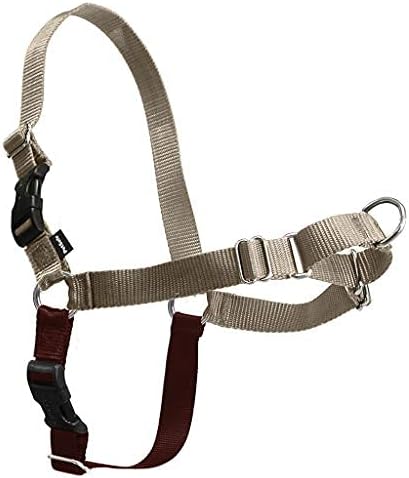 PetSafe Easy Walk Harness for Dogs - Pull-Free Walks - Patented Martingale Loop Design - Front Chest Leash Attachment - Comfort Straps - Breathable Harness Design - Small, Fawn/Brown