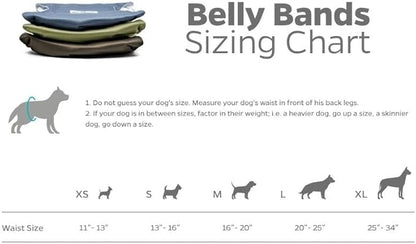 Pet Parents® Washable Belly Bands for Male Dogs (3pack) + Extendrs® of Durable Dog Diapers Male, Premium Male Dog Diapers & Dog Wraps (Medium, Koda)