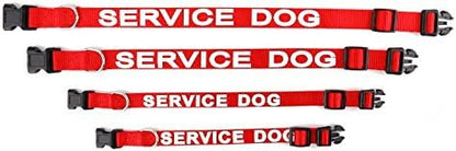 Service Dog Collar & Emotional Support Animal (ESA) Collar with Metal ID Tag + 3 Information Cards – Adjustable Heavy-Duty Nylon | ALL ACCESS CANINE