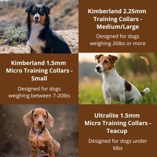 2.25mm Kimberland Collars Clasp Dog Training Collar for Large Breeds | 16” Training Chain for Dogs 26lbs & Up | No-Pull Collar | Behavior Aid | Stainless Steel | Silver