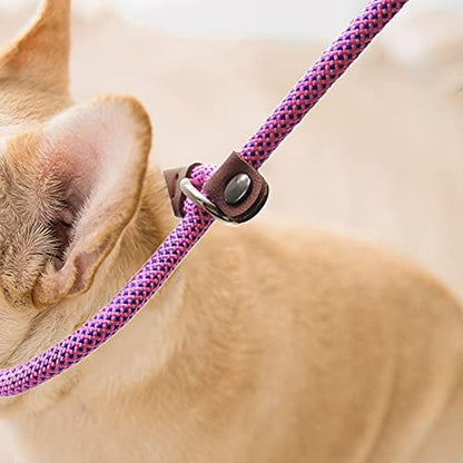 BTINESFUL 7ft Slip Lead Dog Leash, 1/4" Nylon Rope Dog Training Leash for Small Medium Dogs No-Pull Walking, Behavior Training, 14+ Colors