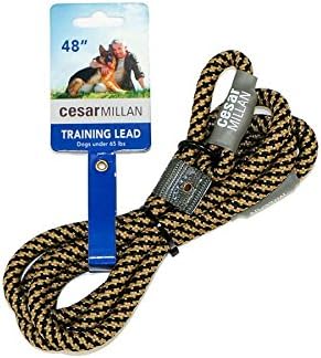 Cesar Millan Slip Lead Leash | Dog Leash | in Training Leash | (Regular, Black/Tan)