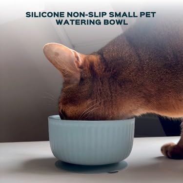 Cat Bowls with Suction Cup 400ml with Silicone Lid — Elevated Silicone Pet Dish with Non-Slip Bottom for Dry Food, Wet Food and Water — Silicone Water Bowl for Small Dog, Rabbit, Kittens (Grafit)