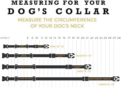 Wolfgang Heavy Duty Martingale Dog Collar with Quick Release Nylon Buckle for Walking & Training, Mixtape Print, Large