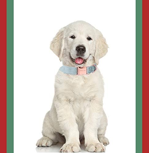 ARING PET Dog Collar and Leash, Velvet Dog Collar and Leash Set, Soft & Comfy, Adjustable Collars for Dogs Medium