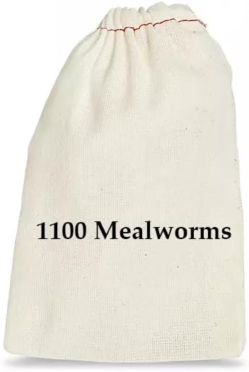 BASSETT'S CRICKET RANCH 1100 Mealworms - Worms for Reptiles and Birds