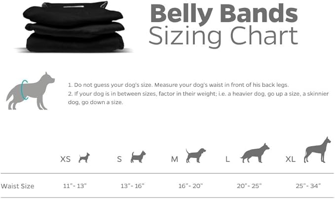 Pet Parents® Washable Belly Bands for Male Dogs (3pack) + Extendrs® of Durable Dog Diapers Male, Premium Male Dog Diapers & Dog Wraps (Medium, Black)