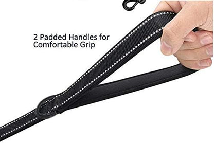 Heavy Duty Dog Leash - 2 Handles by Padded Traffic Handle for Extra Control, 6foot Long - Perfect for Medium to Large Dogs (Purple, 6 ft)