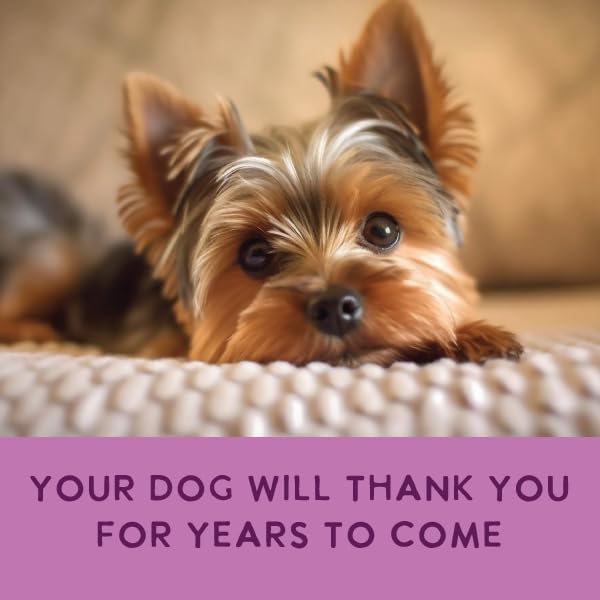 Health Extension Gently Cooked Grain-Free Salmon Dog Food, Human-Grade & Shelf-Stable with Superfoods, Supports Digestion, Immunity, Skin & Coat, 3 oz Pouch (Pack of 20)