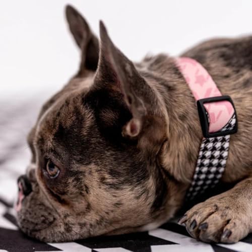Wolfgang Heavy Duty Dog Leash, Pull-Tested to Over 800 lbs for Walking & Training, HoundsPink Print, Dual-Handle Large