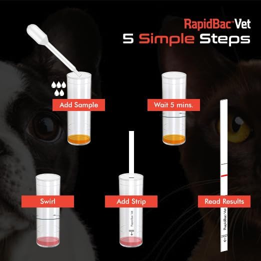 RapidBac™ Vet – 15-Minute at-Home Urine Test for Dogs and Cats to Quickly Screen for UTI Causing Bacteria, 1 Pack
