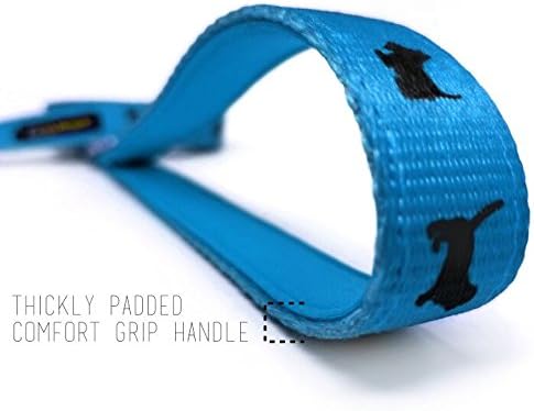 EcoBark Dog Leash - Soft & Reflective Comfort Leashes with Padded Handle - Safe, Strong, & Durable for Small, Medium or Large Dogs (Sky Blue)