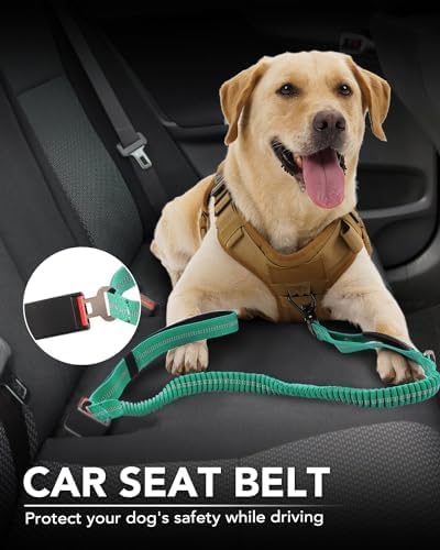 Joytale Tactical Dog Leash Heavy Duty, 4-6FT Shock Absorbing Bungee Lead with 2 Padded Handle, Metal Carabiner Clip, Car Seatbelt, Strong No Pull Leash for Medium Large X-Large Dogs, Teal
