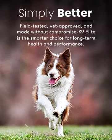 Dog Allergy Relief Chews for Itching Skin – Anti Itch, Gut Health & Immune Support with Colostrum & Omega 3 – Skin & Coat Supplement for Dogs