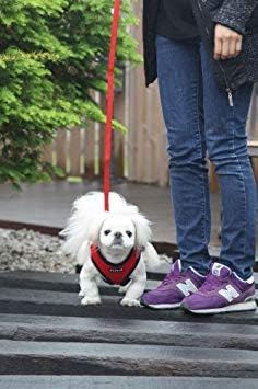 Puppia Soft Dog Harness No Choke Over-The-Head Triple Layered Breathable Mesh Adjustable Chest Belt and Quick-Release Buckle, Purple, Medium