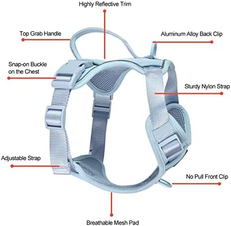 Petmolico Dog Harness for Small Dogs, Cute Harness Vest with Two Leash Clips and Soft Handle, Reflective Easy Walk Puppy Vest - Light Blue, X-Small