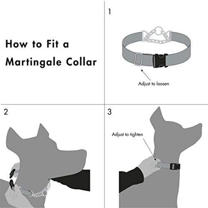Friends Forever Martingale Dog Collars for Large Dogs - Reflective No Pull Dog Collar for Training Large/Medium Breed Dogs, Large