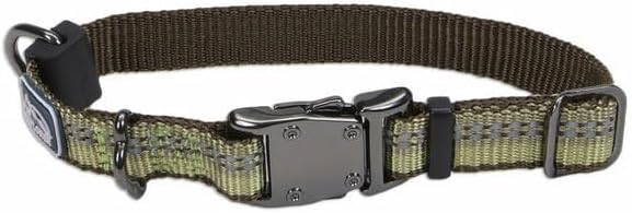 Coastal Pet K9 Explorer Reflective Adjustable Dog Collar - Comfortable Collar for the Outdoors - Durable, Lightweight Accessory with Side-Release Buckle - Fern, 5/8" x 8-12"