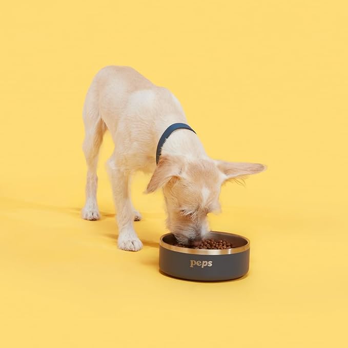 Peps Non-Slip Pet Food Bowl – Durable, Dishwasher Safe, Navy Blue