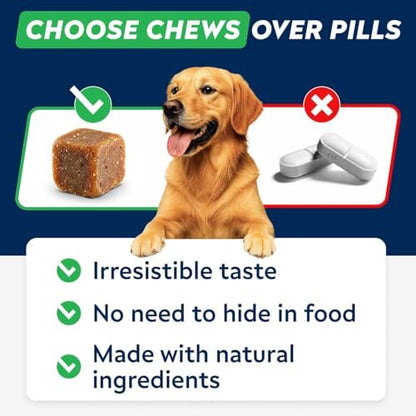 STRELLALAB Dog Allergy Relief & Anti Itch Support Chews w/Omega 3: Real Ingredients, Real Taste! Skin & Coat Immune w/Fish Oil, Pumpkin & Enzymes — Developed by Experts - Made in USA - 60Ct