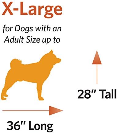MidWest Homes for Pets 48-Inch iCrate for Extra-Large Breeds, 90-110 lbs, Single Door Folding Dog Crate with Divider Panel, Leak-Proof Tray & Secure Latches, Portable, Durable & Easy to Assemble