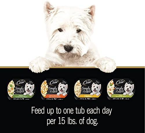 Cesar Simply Crafted Adult Wet Dog Food Toppers for Dry Food, Variety Pack, 1.3 oz Tubs, 24 Count