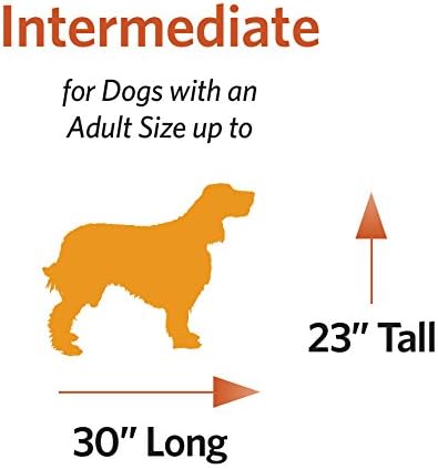 MidWest Homes for Pets 36-Inch iCrate for Medium-Large Breeds, 41-70 lbs, Single Door Folding Dog Crate with Divider Panel, Leak-Proof Tray & Secure Latches, Portable, Durable & Easy to Assemble