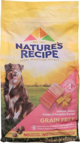 Natureâ€²s Recipe Grain Free Salmon, Sweet Potato & Pumpkin Recipe Dry Dog Food, 4 lb. Bag (Pack of 2)