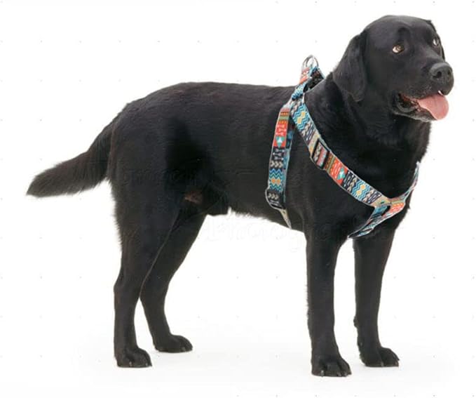 Dog Harness and Leash Set, Pretty Pattern No-Pull Pet Halter Puppy Vest Outdoor Easy Walk for Small Medium Large Breed Pug Bully Mastiff Dogs Female Male, Boho L